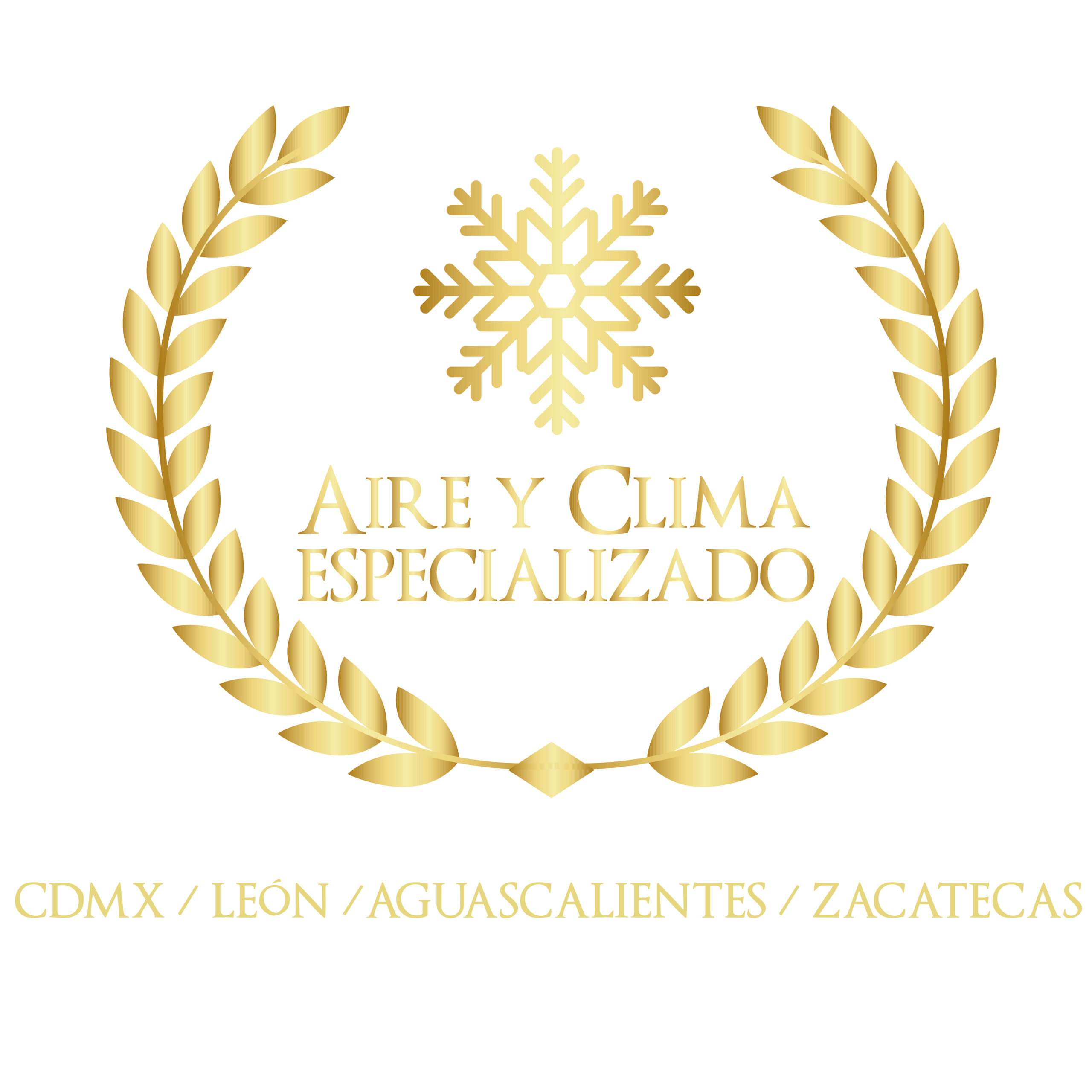 Aire y Clima Especializado